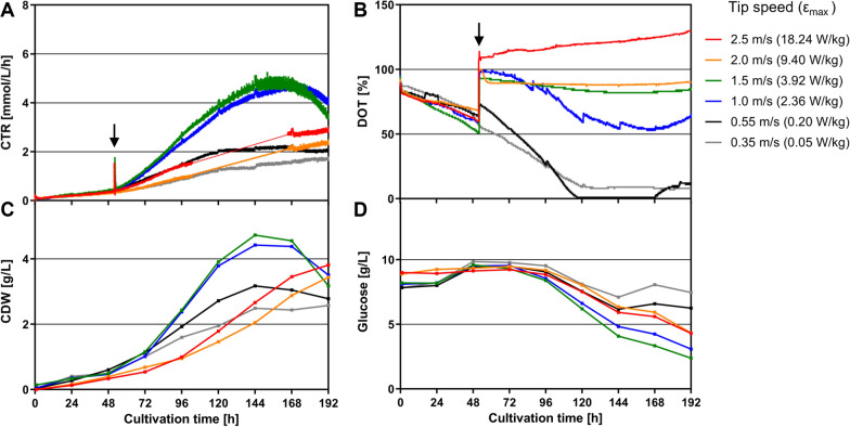 Influence of εmax on growth of the D. discoideum pChR7 strain. During the lag phase, the stirrer tip speed was kept constant at 0.35 m/s for 52 h. After reaching the exponential growth phase (black arrow), the stirrer speed was changed as indicated. The growth behavior was monitored by measuring the carbon dioxide transfer rate (CTR) (A), dissolved oxygen tension (DOT) (B), the cell dry weight (CDW) (C) and glucose consumption (D) for the different stirrer tip speeds. Culture conditions: 1.6-L STR; HL5 medium with 10 g/L glucose, 20 µg/mL G418 and 20 µg/mL doxycycline; aeration rate: 0.3 vvm; temperature 22 °C; pH = 6.5 ± 0.05