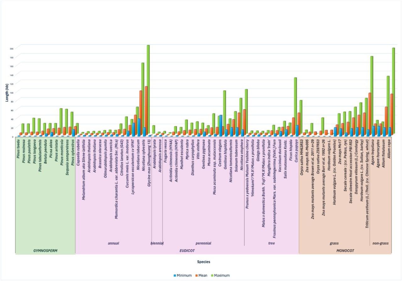 Published telomere length estimates in plants.Separated between Dicots and Monocots, Averages were taken for the Zea mays mutants from (Brown et al., 2011) and (Burr et al., 1992) for visualization. All values and additional data in Supplemental Table S1.