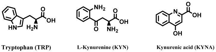 Tryptophan, kynurenine, and kynurenic acid from leaves, stems, and roots of Cannabis sativa.