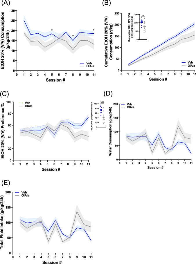 OlAla attenuates EtOH self-administration and preference but not water consumption in male mice.A Systemic administration of OlAla (gray, 60 mg/kg) or vehicle (blue) before each EtOH self-administration session significantly attenuated EtOH intake [N = 10 mice/group; Mixed-effects analysis: F (1,18) = 4.989, treatment effect P = 0.0384; F (6.118, 108.3) = 4.175, session P = 0.0008; F (10, 177) = 0.5726, sex × session interaction P = 0.8349]. Student’s t-test: *P < 0.05. B Cumulative EtOH intake (per day) of animals injected with either OlAla or vehicle. Inset, absolute EtOH intake for the two groups (N = 10, Student’s t-test, P = 0.014). *P < 0.05. C OlAla attenuates EtOH preference. Inset, EtOH preference was compared at the last session for the two groups (N = 10, Student’s t-test, P = 0.0014). **P < 0.01. D Mixed-effects analysis, followed by Sidak’s multiple comparisons test revealed no difference in the water consumption between the two groups. [F (1, 9) = 0.3549, P = 0.5660]. E Mixed-effects analysis, followed by Sidak’s multiple comparisons test revealed no difference in the fluid intake between the two groups. [F (1, 9) = 0.02550, P = 0.8767].