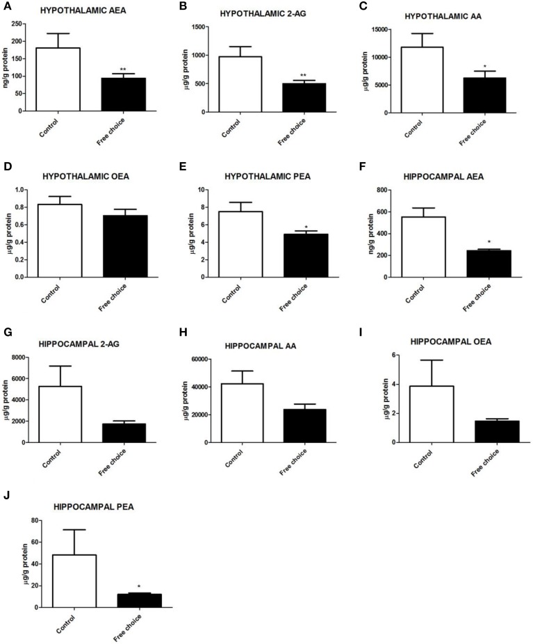 Levels of endocannabinoids and N-acylethanolamides in the hypothalamus and hippocampus of male offspring. Tissular contents (ng/g or mg/g of protein) of AEA (A,F), 2-AG (B,G), AA (C,H), OEA (D,I), and PEA (E,J) in the hypothalamus and hippocampus respectively of male pups born from mothers fed with control diet (open bars) or free-choice diet (solid bars). Values are expressed as mean ± SEM. *p < 0.05, **p < 0.01.