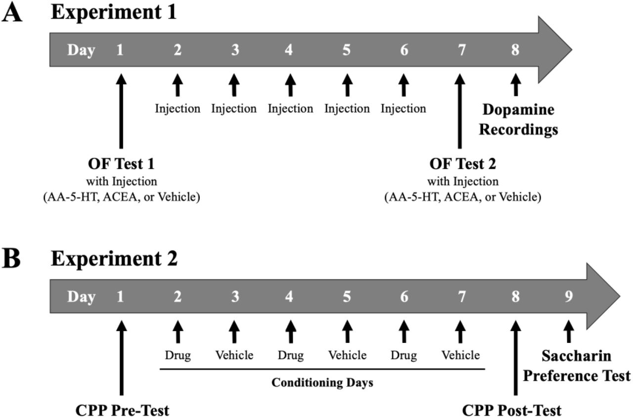 Experimental TimelinesNote. Experimental timelines are depicted. (A) In Experiment 1, mice were pretreated with 7 daily injections of AA-5-HT, ACEA, or vehicle (negative control) prior to assessments of locomotor activity using OF testing and dopamine release using in vivo fixed potential amperometry. (B) In Experiment 2, mice underwent AA-5-HT, ACEA, or vehicle CPP for eight days followed by saccharin preference testing, a measure commonly associated with anhedonia. OF = open field, AA-5-HT = arachidonoyl serotonin, ACEA = arachidonyl-2’-chloroethylamide, and CPP = conditioned place preference.