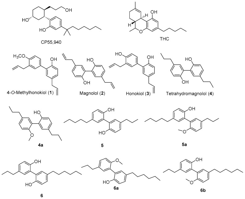 Compounds isolated/identified (1–4) from M. grandiflora seed and related (4a–6b) compounds [29] were used for molecular docking studies.