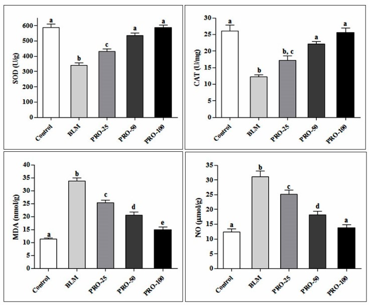 Effect of the PRO on oxidative stress markers (SOD, CAT, MDA, and NO) in lung tissue homogenate of BLM-treated mice. Different superscripts refer to significance at p ≤ 0.05 (n = 6).