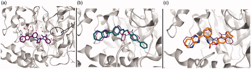The FAAH protein with (a) the inhibitor from crystal structure with PDB code 3QJ9 in stick, the catalytic triad marked with a circle, and water molecules removed prior to docking indicated with name; (b) the highest ranked docking pose of 4r in stick and crystal pose in wire; (c) the highest ranked docking pose of 4m in stick and crystal pose in wire.
