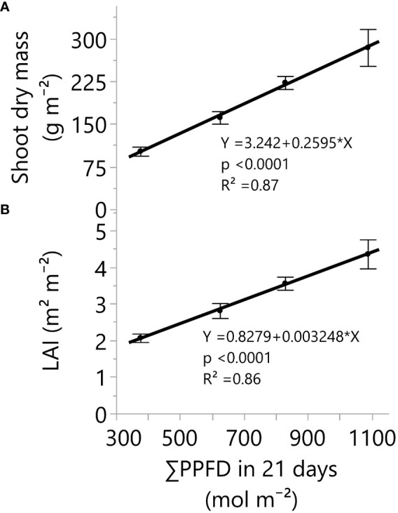 Shoot dry mass (A) and leaf area index (B) responses under four greenhouse cumulative light levels (sunlight plus supplemental LED light). PPFD represents photosynthetic photon flux density. p-values of the slopes (0.26 g m-2 and 0.003 m2 m-2) from linear regression analyses. Dots and error bars represent the mean and standard errors for each light treatment group, respectively. In all cases, N=12, n=3, and OU=3 plants per plot.