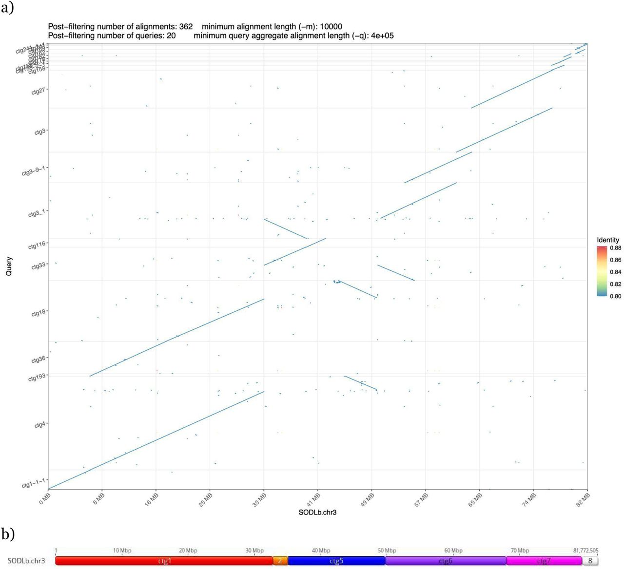 (a) Alignment of a representative pair of diploid contigs against Sour Diesel B chromosome 3, and (b) contig boundaries of the SODLb contigs comprising the chromosome.