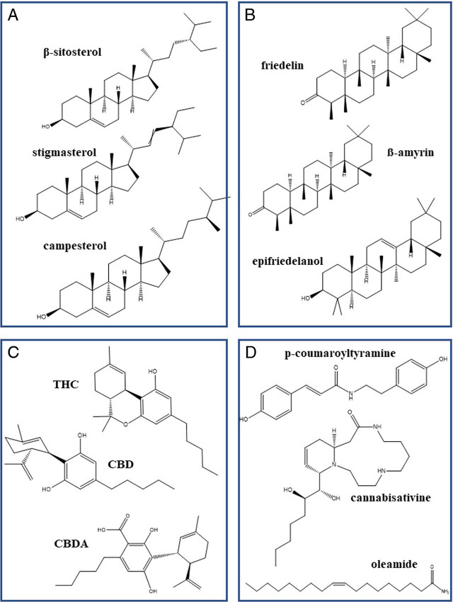 Chemicals isolated from Cannabis sativa roots. (A) Phytosterols. (B) Triterpenoids. (C) Cannabinoids: - (−)-trans-Δ9-tetrahydrocannabinol (THC); cannabidiol (CBD); cannabidiolic acid (CBDA). (D) Nitrogen-containing compounds.
