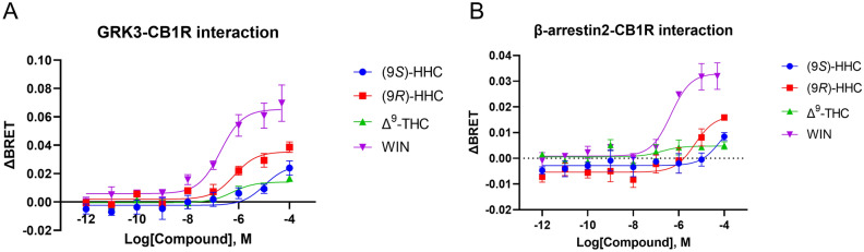 GRK3-CB1R and β-arrestin2-CB1R interactions elicited by the tested cannabinoids. HEK293 cells were transiently transfected with CB1R-EYFP and β-arrestin2-Rluc or GRK3-Rluc8 (1:2 ratio). The cells were stimulated with increasing concentrations of compounds (9S)-HHC, (9R)-HHC, Δ9-THC, WIN, or their vehicles. BRET donor and acceptor emission was measured 12 min after the addition of the compounds. (A) Concentration–response relationship of GRK3-CB1R association mediated by CB1R stimulation. (B) Concentration–response relationship of β-arrestin2 recruitment to CB1R after CB1R stimulation. The data are presented as means ± SEM from three independent experiments. The data analysis is disclosed in Supplementary Tables 3 and 4.