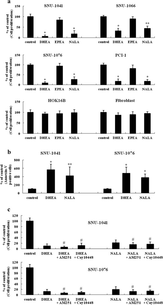 DHEA and NALA effectively inhibit cell proliferation and induce cell death in HNSCC cell lines. a Cells were treated with 20 μM of DHEA, EPEA and NALA. At 72 h, cells were subjected to cell proliferation assay. b SNU-1041 and SNU-1076 were treated with 20 μM of DHEA and NALA. At 60 h, cells were subjected to Annexin-V staining assay. c SNU-1041 and SNU-1076 were treated with DHEA (20 μM) and NALA (20 μM) plus AM251 (2 μM) or cay10448 (2 μM). At 72 h, cells were subjected to cell proliferation assay. Results are expressed as a percentage relative to control (% of control). P values were based on comparison with control (*P < 0.001, **P < 0.05) or DHEA/NALA-treated group (# P < 0.05)