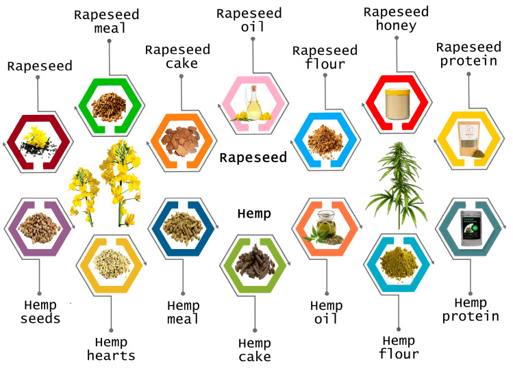 Hemp and rapeseed by-products used in the food industry.