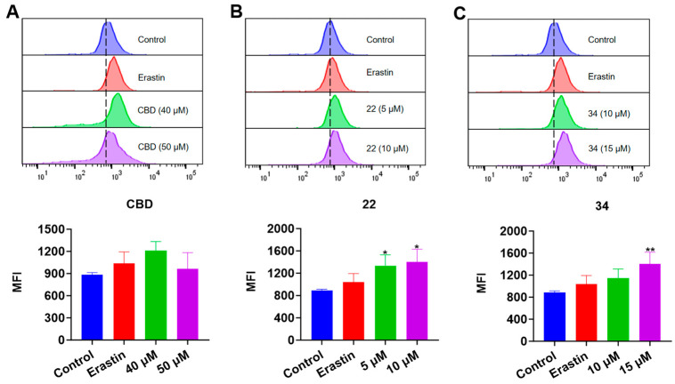 Evaluations of intracellular iron in B16F10 cells exposed to erastin, CBD, 22, and 34. Plots of a flow cytometry assay with the FerroOrange staining reagent showing the intracellular iron levels (upper panel; data are shown as the PE values) and quantitative analysis of the Fe2+ level (lower panel; data are expressed as the mean ± SD MFI values) in B16F10 cells exposed to CBD, 22, and 34 (A–C). Significance was defined as * p < 0.05 and ** p < 0.01 when compared to the control group.