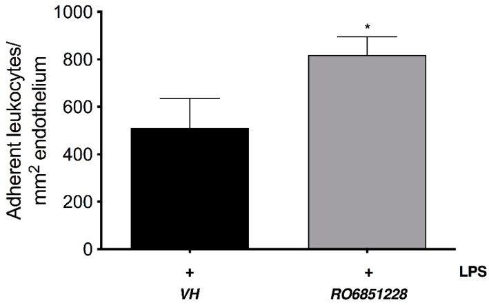 The CB2R inverse agonist, RO6851228 increases leukocyte adhesion in the iridial microcirculation during EIU. Bar graph represents the mean number of adherent leukocytes at 6 h post-intravitreal injection of LPS and following topical treatment with either vehicle (Tocrisolve, n = 8) or RO6871228 (1.5% w/v; n = 6). Data are presented as mean ± SD. Two-tailed unpaired t-test; * p < 0.05 compared to LPS + vehicle.