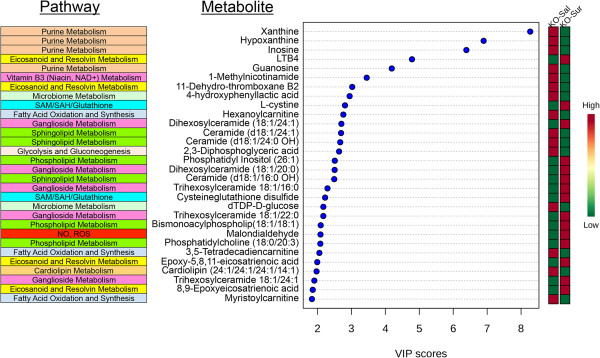 Metabolites and pathways associated with suramin treatment in the Fragile X model. The top 30 most discriminating metabolites and their biochemical pathways ranked by variable importance in projection (VIP) scores. See Additional file 1: Table S3 for a complete list of the top 58 discriminating metabolites. VIP scores ≥1.5 were considered statistically significant. Age 25 weeks, N = 9-11 per group.