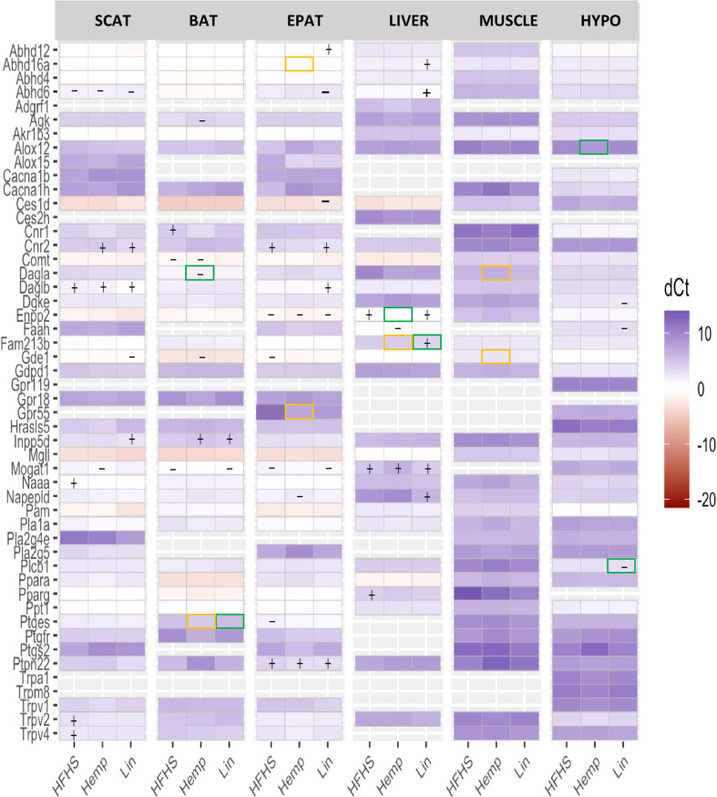 eCBome receptor and enzyme expression measured by qPCR array in brown adipose tissue (BAT), epididymal adipose tissue (EPAT), subcutaneous adipose tissue (SCAT), hypothalamus (HYPO), liver, and muscle. Statistically significant differences between the high-fat high sucrose groups (HFHS, Hemp, or Lin) versus the LFLS group are indicated with a “+” (increase in expression) or “−” (decrease in expression); p < 0.05. Yellow boxes indicate significant difference between Hemp and Lin; green boxes indicate significant differences between Hemp or Lin and HFHS; p < 0.05.