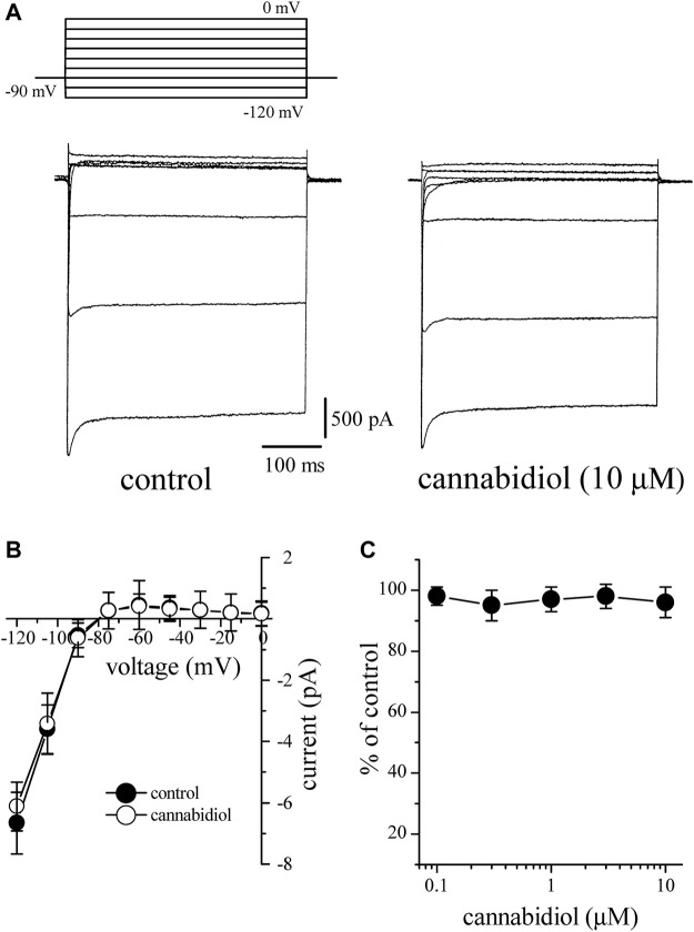Cannabidiol does not have a significant effect on I K1 (A) Original current traces recorded in control conditions (on the left) and after10 min exposure to 10 μM CBD (on the right) in a rabbit cardiomyocyte. The pulse protocol to evoke I K1 is presented in the inset (B) Current-voltage relations of I K1 in the absence and presence of 10 μM CBD are presented with filled and open circles, respectively (n = 6) (C) The effect of increasing CBD concentrations on I K1 (n = 4–6).