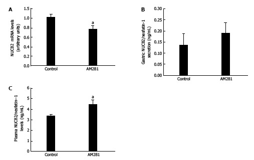 mRNA expression levels measured by real-time PCR for Nucb2 (A), nucb2/nesfatin-1 secretion from tissue explant analyzed by ELISA (B), plasma Nucb2/nesfatin-1 levels (C) obtained from 36-h fasted animals that received i.p. treatment with AM281 (3 mg/Kg i.p.) (n = 6) or vehicle (n = 6). aP < 0.05 vs control.