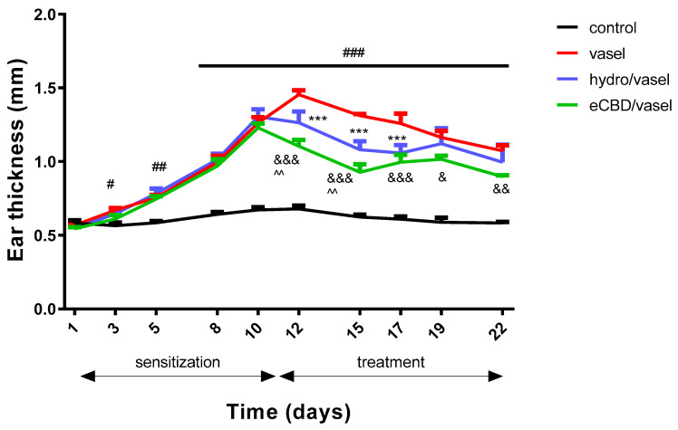 The effect of high-cannabidiol Cannabis sativa L. extract (eCBD) ointment on ear edema on DNCB-induced dermatitis. The 2,4-dinitrochlorobenzene (DNCB) solution was administered 9 times over a period of 3 weeks, and the tested ointments containing 2% cannabidiol (eCBD/vasel), hydrocortisone 1% (hydro/vasel), or vehicle–Vaseline (vasel) were applied beginning on from day 11. The severity of edema was assessed by measuring the ear thickness (mm). Treatment with eCBD resulted in the significant reduction of ear thickness, and the effect was more pronounced than anti-edematous effect observed after administration of hydrocortisone 1%. The control group consisted of animals without inflammation. The results are presented as mean ± SEM, n = 7–8. # p < 0.05; ## p < 0.01; ### p < 0.001 control vs. vasel; *** p < 0.001 hydro/vasel vs. vasel; & p < 0.05, && p < 0.01, &&& p < 0.001 eCBD/vasel vs. vasel; ^^ p < 0.01 hydro/vasel vs. eCBD/vasel.