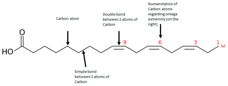 Representation of an omega 3 polyunsaturated fatty acid: α-linoleic acid (ALA).