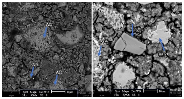 SEM diagrams of CSA cement with 5% hemp hurds lixiviate, with the presence of (a) Aft and (b) AFm phase after 7 days of hydrations.