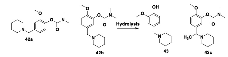 Chemical structures of anti-amyloid aggregation compounds 42a-c and derivative 43 with radical scavenging and metal-chelating properties.