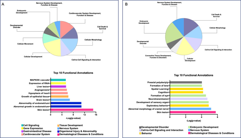 Top IPA disease and functions. (A-top) Pie chart of disease and function categories that have 10 or more associated terms from the LE dataset. (A-bottom) graph of the top ten most significant disease or function annotations from the LE dataset. (B-top) Pie chart of disease and function categories that have 10 or more associated terms from the EE dataset. (B-bottom) Graph of the top ten most significant disease or function annotations from the EE dataset. For both A and B bottom graphs, the Y-axis represents the annotation, and the x-axis is the -log of the p-value. The colors correspond to the category to which this disease or function was annotated (represented by the color legend on the bottom)
