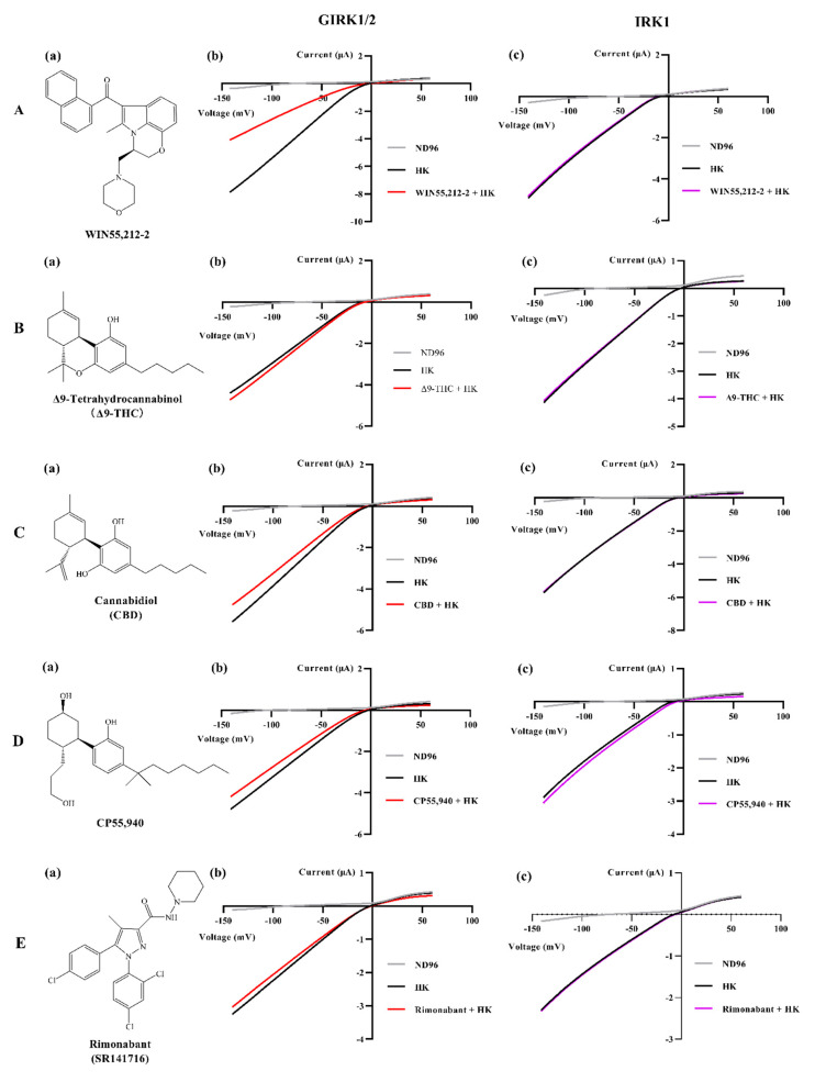 Structures of WIN55,212-2, ∆9-THC, CBD, CP55,940, and rimonabant, and changes of inward K+ currents through GIRK1/2 and IRK1 produced by these cannabinoids. Structures of WIN55,212-2, ∆9-THC, CBD, CP55,940, and rimonabant are shown in (a) column. (b) Oocytes injected with GIRK1/2 and (c) oocytes injected with IRK1 were subjected to a 1-s voltage ramp protocol from −150 to +60 mV from a holding potential of −20 mV. Current enhancement or reduction was produced on the application of ≈100 μM of (A) WIN55,212-2, or 100 μM of (B) ∆9-THC, (C) CBD, (D) CP55,940, and (E) rimonabant. Typical IK,basal and IK,compound were recorded from three to five different oocytes.