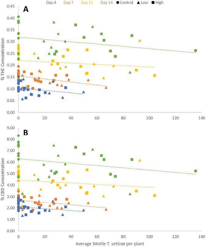 Higher densities of motile mites are negatively correlated with both THC A) and CBD B) in 2021 experiments.