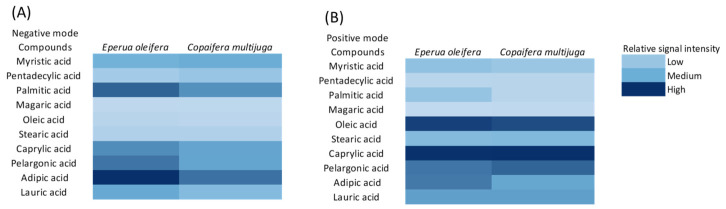 Heatmap showing the relative signal intensity of tentatively annotated free fatty acids detected by DART-HRMS in Eperua oleifera and Copaifera multijuga. (A) Negative ion mode and (B) positive ion mode. The color scale represents relative signal intensity under identical experimental conditions (low to high). Values are qualitative and are intended for comparative purposes only.