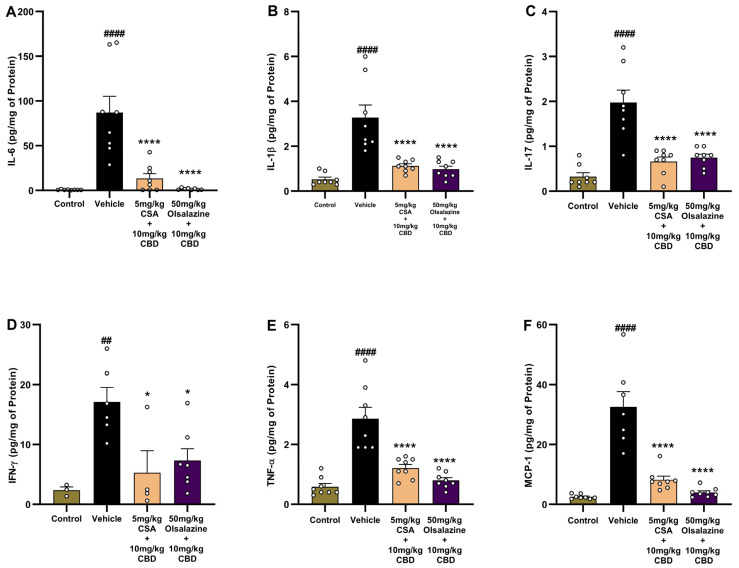 Combination therapy with low-dose CBD, olsalazine, or cyclosporine A reduces pro-inflammatory cytokines in chronic colitis. Colonic levels of IL-6 (A), IL-1β (B), IL-17 (C), IFN-γ (D), TNF-α (E), and MCP-1 (F) in chronic colitis mice treated with vehicle, CBD (10 mg/kg) + CSA (5 mg/kg), or CBD (10 mg/kg) + olsalazine (50 mg/kg). Data are expressed as mean ± SEM. Statistical significance: ## p < 0.01, #### p < 0.0001 vs. healthy control; * p < 0.05, **** p < 0.0001 vs. vehicle.