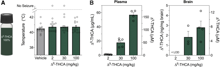 The effects of Δ9-THCA on hyperthermia-induced seizures in Scn1a+/− mice. (A) Pure Δ9-THCA that contained <0.5% THC impurity was used for hyperthermia-induced seizure experiments in Scn1a+/− mice. Threshold temperature of individual mice for GTCS induced by hyperthermia after acute i.p. treatment with vehicle (VEH, gray bar) or varying doses of pure Δ9-THCA (dark green bars). Δ9-THCA had no effect on the temperature threshold for hyperthermia-induced seizures. The average temperatures of seizure induction are depicted by the bars and error bars represent SEM, with n=15 per group (log-rank Mantel–Cox). (B) Concentrations of Δ9-THCA in plasma (left panel) and brain (right panel) from individual experimental animals. Concentrations are depicted as both mass concentrations (left y-axis) and molar concentrations (right y-axis). Error bars represent SEM, with n=4–7 per treatment. Δ9-THCA, Δ9-tetrahydrocannabinolic acid; GTCS, generalized tonic-clonic seizures; i.p., intraperitoneal; LOD, limit of detection; SEM, standard error of the mean.
