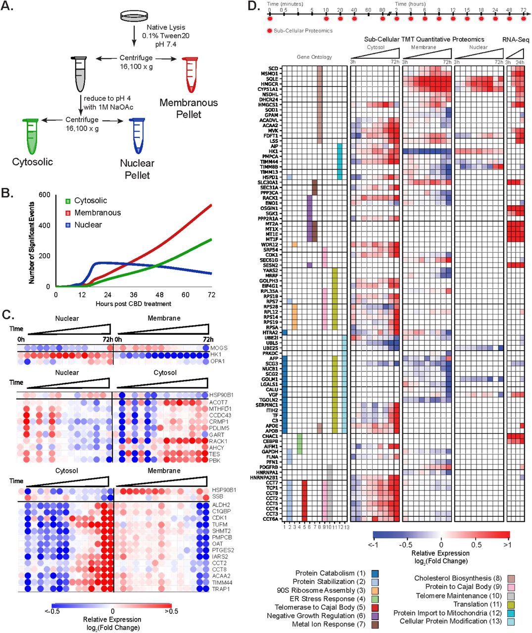 CBD treatment upregulates cholesterol biosynthesis enzymes and translocation of metabolic proteins.(A) Compositionally distinct subcellular proteomic fractions were fractionated by differential centrifugation and pH. The “cytosolic” fraction is enriched in soluble protein, the “nuclear” fraction is enriched in insoluble subnuclear compartments: condensed chromosome, spindles, spliceosomal complex etc., and the “membrane” fraction is enriched in membrane and mitochondrial related proteins. (See also Figure S3C -S3E) (B) Frequency of significantly changing proteomic events over time. (C) Anticorrelated proteins between proteomic fractions over time. PCA dimensionality reduction was used to decrease the impact of noisy signal contribution. Correlation between fractions, r < -0.8 was required. A large proportion of proteins listed above are known to compartmentalize in the mitochondria indicating protein shuttling or mitochondrial detachment/ attachment. (See also Figure S3F) (D) Proteins and mRNA transcripts that change significantly with CBD and map to the indicated gene ontology annotations that showed significant enrichment of differential proteins (Experimental Procedures).