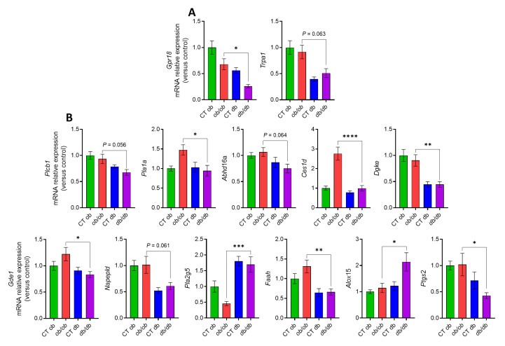 Different mRNA expression, in the duodenum of ob/ob and db/db mice, of eCBome related receptors (A) and metabolic enzymes (B) for 2-monoacylglycerols and N-acylethanolamines measured by qPCR-based TaqMan Open Array. Data are presented as the mean ± S.E.M of n = 7–10. * p ≤ 0.05, ** p ≤ 0.01, *** p ≤ 0.005, **** p ≤ 0.001. Relative units were calculated versus the mean of the CT ob mice values set at 1. Data were analyzed by one-way ANOVA followed by Tukey’s post hoc test. Abbreviations: see Supplementary Table S2.