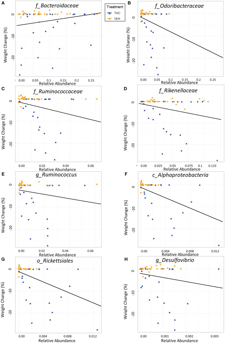 Relationship between percent weight change from baseline and bacterial relative abundance in male mice. Scatterplots displaying the percent weight change from baseline against relative abundance for 8 individual taxonomic features (identified at the top of each panel A–H). Plot points are separated by treatment and indicated by color. Trendline is the result of a significant LME modeling of percent weight change against relative abundance.