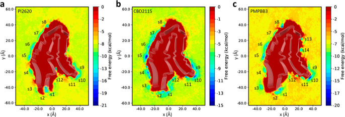 Free energy surfaces for the binding of tracers to AD tau derived from metadynamics simulations. (a) Free energy surface for the binding of PI2620. (b) Free energy surface for the binding of CBD2115. (c) Free energy surface for the binding of PM-PBB3. The identified binding sites are labeled with “s” and site identifier.