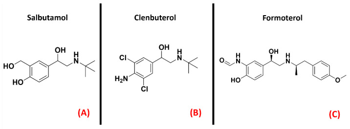 The chemical structures of the adrenergic β2 receptor agonists Salbutamol (A), Clenbuterol (B), and Formoterol (C).