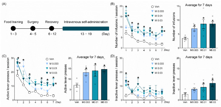 Mepirapim treatment supported the maintenance of IVSA in rats. (A) Experimental schedule. Male Sprague Dawley rats (7 weeks old, 250–270 g, n = 5 per group) were used. Each group of rats self-administered either vehicle or Mepirapim (0.003, 0.01 and 0.03 mg·kg−1·infusion−1, i.v.) under a fixed ratio 1 schedule for seven consecutive days. All drugs were injected intravenously at a volume of 0.1 mL·infusion−1. (B) Number of infusions during each session and average for 7 days. (C) Number of active lever presses during each session and average for 7 days. (D) Number of inactive lever presses during each session and average for 7 days. Data are presented as means ± SEMs. Significant differences between the vehicle group and other groups are indicated by * p < 0.05.