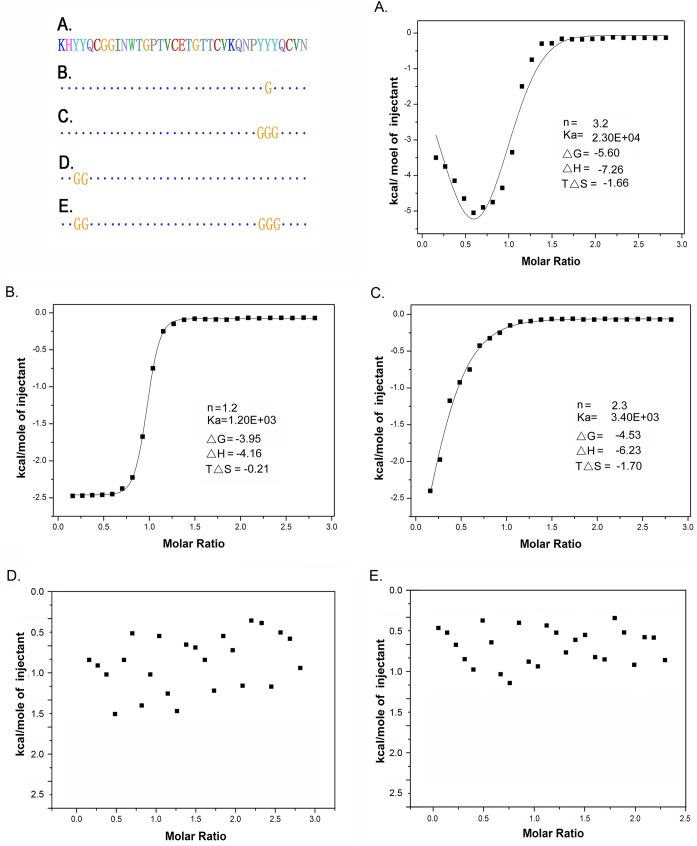 ITC assay to analyse the interactions between various CBD domains and cellopentose.The mutant proteins were titrated into cellopentose. The experimental parameters were set as a total 28 injections, a cell temperature of 25 °C, initial delay of 180 sec, syringe length of 0.241 mM, cell 0.022 mM, and stirring speed of 300. The injection parameters were a volume of 10 μl, a duration of 20 sec, a spacing of 180 sec, and a filter period of 2 sec. (A) Original CBD protein; (B) Point mutation of residues W459 in motif II; (C) Mutation of residues Y477Y478Y479 in motif III; (D) Mutation of Y451Y452 in motif I; (E) Mutation of Y451Y452 and Y477Y478Y479 both in motif I and III.