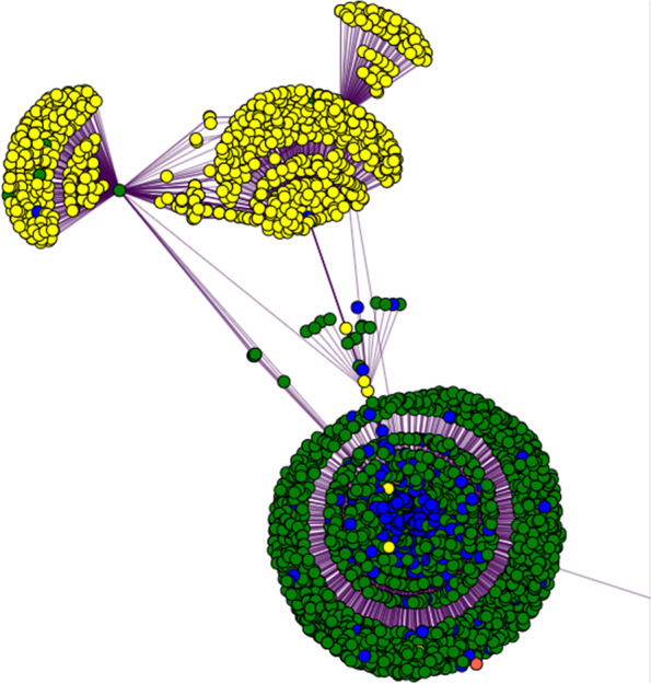 The beginning stage of cross-referencing gene connections for two chemicals, CBD and ribavirin, known to be related to antiviral property. Gene nodes are colored green, chemical nodes are yellow, property nodes are blue, and strain nodes are orange. The high node degree of these nodes make human interpretation difficult at this point, therefore filtering of nodes is necessary. We can filter out nodes with low degree to make the more highly connected components more visible