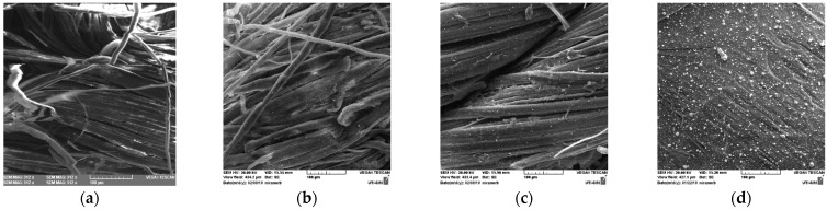 SEM images 500 x of the samples (a) Hemp fabric used as support for pulsed laser deposition; (b) Sample D (Ag Film/Hemp); (c) Sample E (Ag Film/CA/Hemp); (d) Sample F (Ag Film/CA/Glass).