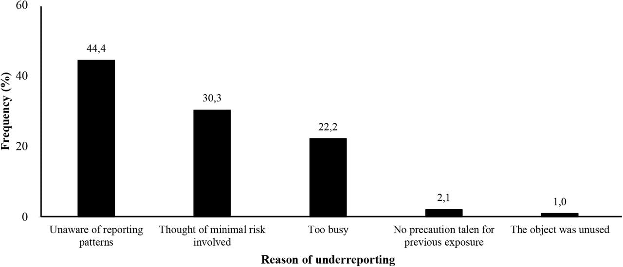 Reported Availability of Personal Protective Equipment (PPE) Among Healthcare Workers at the Buea Regional Hospital, 2023 (n=113)