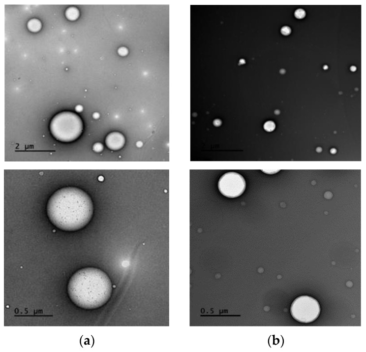 TEM images showing Intralipid® particles (a) and Intralipid® with 2% peanut oil (b) at 10 K magnification power (up) and 40 K magnification power (down). With the incorporation of oil, the centers of the Intralipid® droplets exhibit a distinct clarity and shine, indicating emulsification of the oil into the droplet cores. Conversely, in the absence of added oil, the centers of the droplets appear dull.