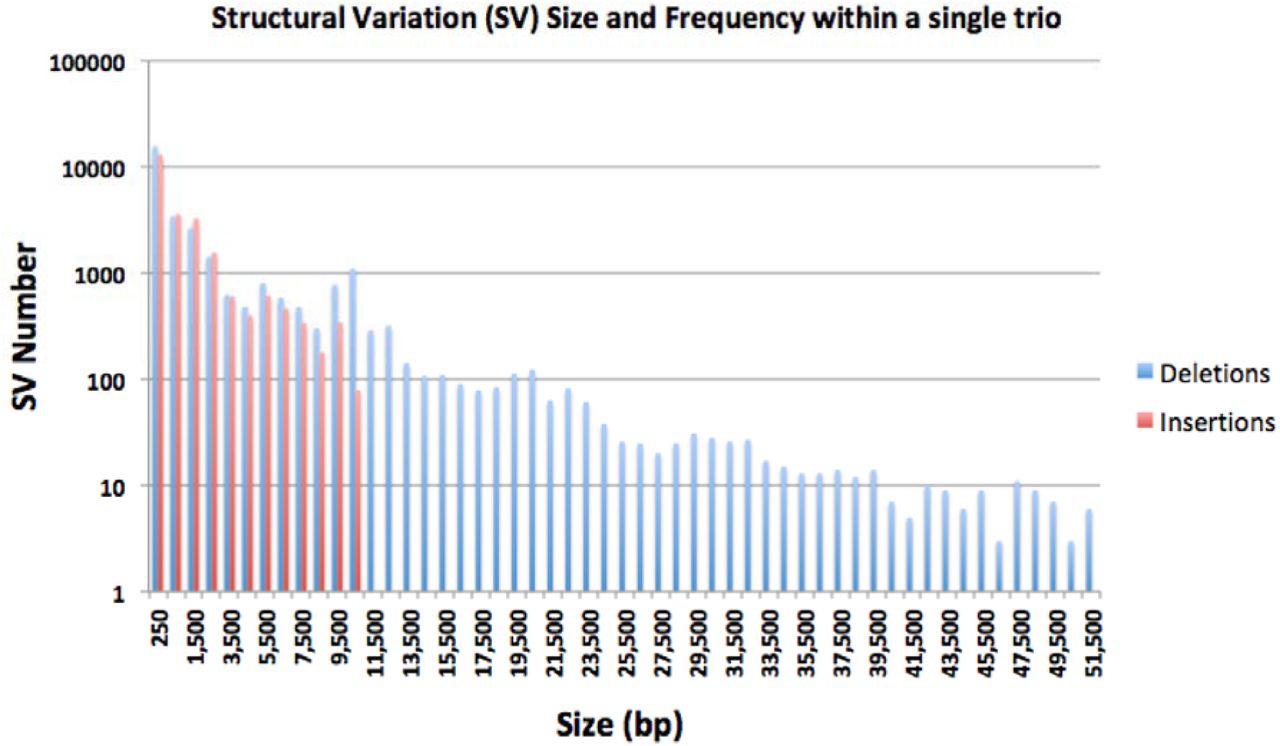 Structural variation detection with PBSV in the Jamaican Lion Trio. Comparison of three genomes (Jamaican Lion mother, Jamaican Lion father, and JL5) results in thousands (y-axis) of structural variations with varying sizes (x-axis). Insertion detection was limited at 10kb detection.