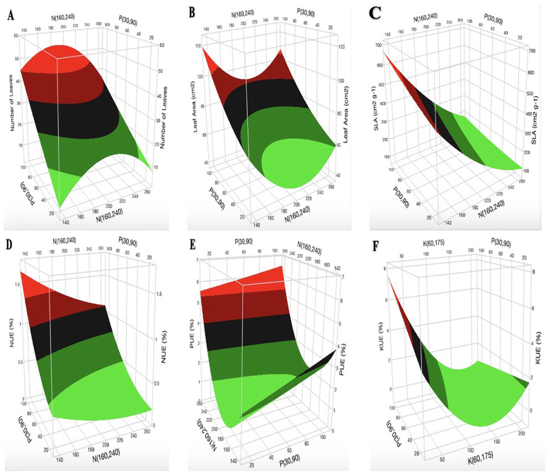 Three-dimensional response surface responses for the effect of nitrogen, phosphorus, and potassium on (A) number of leaves, (B) leaf area, (C) specific leaf area, (D) nitrogen use efficiency, (E) phosphorus use efficiency, and (F) potassium use efficiency at various treatments in the deep-water culture system.