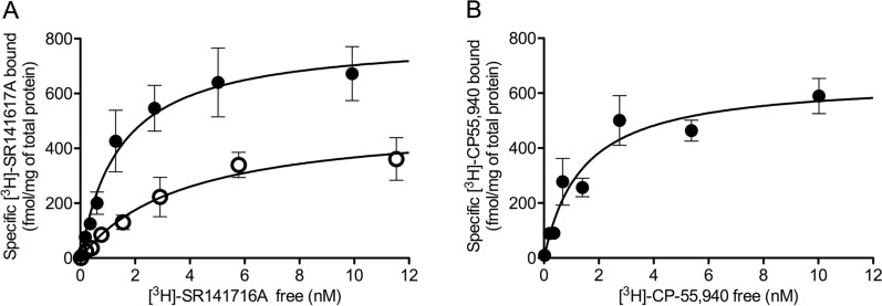 Radioligand binding assays in crude synaptosomes from rat brain cortex. A Representative saturation binding curves for [3H]SR141716A (0.01–10 nM) in the absence (empty circles) and in the presence of exogenously added 100 µM GTPγS (filled circles). B Representative saturation binding curve for [3H]-CP55940 (0.01–10 nM). Each point in curves corresponds to the mean ± SEM value of one independent experiment performed in triplicate. Mean values of the maximal number of sites (Bmax) and affinity (KD) averaged across three independent experiments are shown in Table 4