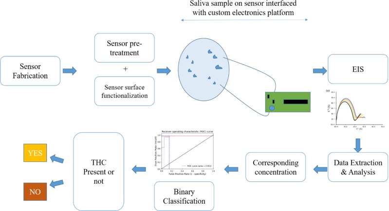 Schematic outlining the principal of operation of the THC biosensor.