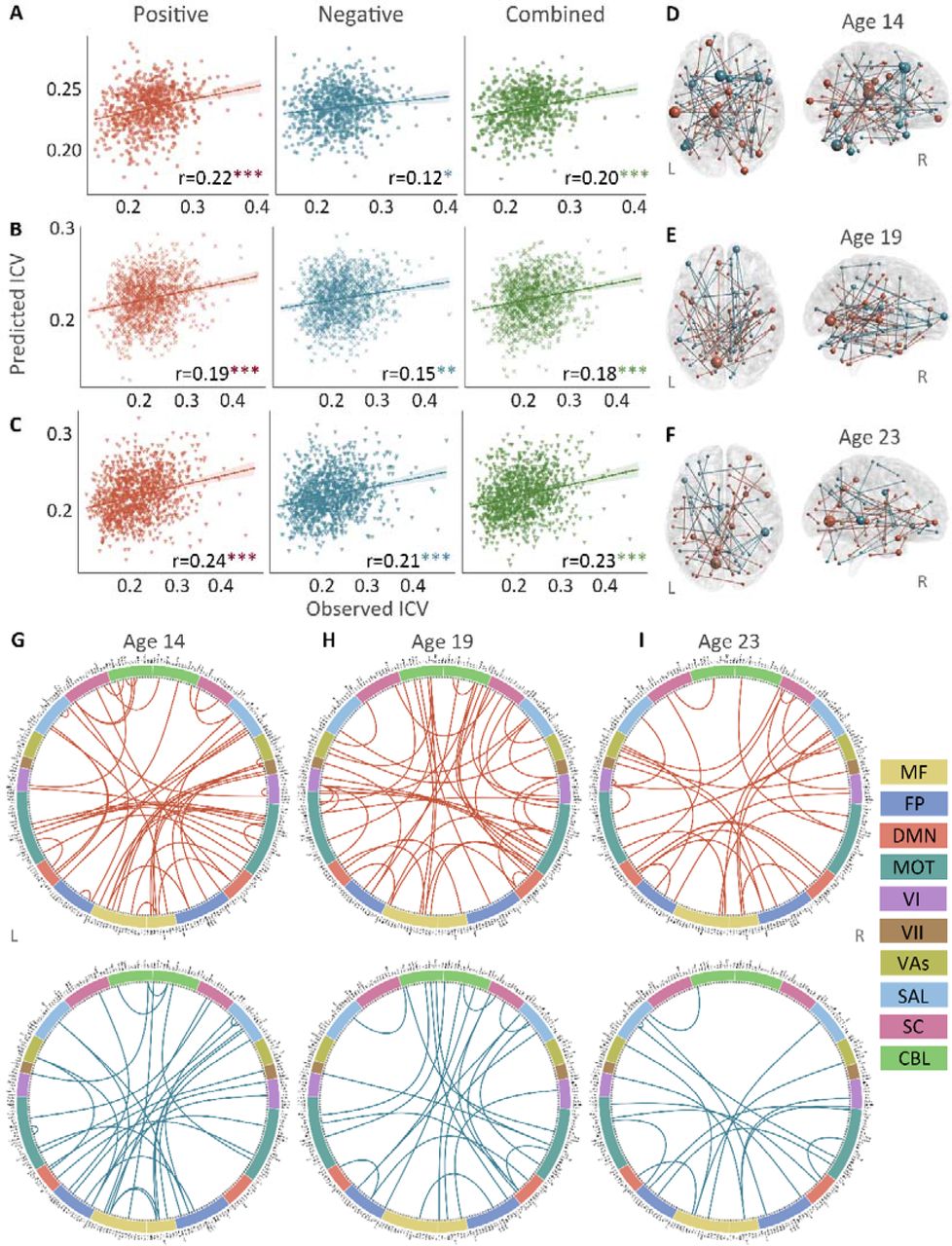 The predictive performances and networks of intra-individual coefficient of variation (ICV) per timepoint derived from Successful stop trials. Correlation between observed and predicted ICV in positive, negative, and combined networks at (Panel A) age 14, (Panel B) age 19, and (Panel C) age 23. Predictive networks for ICV are at (Panel D) age 14, (Panel E) age 19, and (Panel F) age 23. Connectome of positive and negative networks of ICV at (Panel G) age 14, (Panel H) age 19, and (Panel I) age 23. The edges depicted above are those selected in at least 95% of cross-validation folds. Red, blue, and green spheres/lines/scatters represent positive, negative, and combined networks separately. MF, Medial frontal; FP, Frontoparietal; DMN, Default mode; MOT, Motor; VI, Visual I; VII, Visual II; VAs, Visual association; SAL, Salience; SC, Subcortical; CBL, Cerebellar. R/L, right/left hemisphere. *, P < 0.05; **, P < 0.01; ***, P < 0.001.