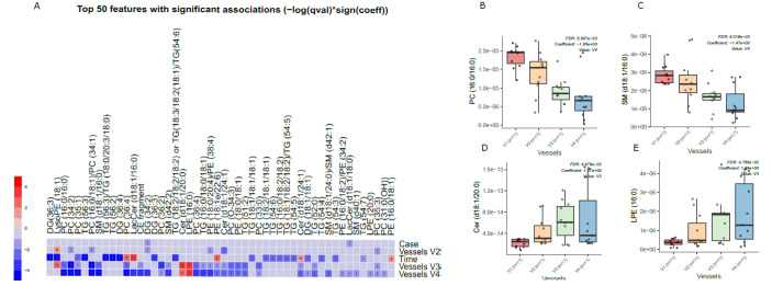 Dynamics of lipids in the in vitro colon simulator. The figure depicts the lipidomic changes in four vessels (V1–V4) over two time points (24 and 48 h). (A) Heat map showing the difference in the lipidome between vessels (V1–V4), time (24 vs. 48 h), and case (with/without PDX) compared using a multivariable linear model. The changes in the vessels were referenced to vessel 1. Blue indicates decreasing trend while red denotes an increase in the trend. (B–E) The box plot shows the difference in the lipidome between vessels (V1–V4). These selected lipids highlight the trend between the vessels (V1–V4), which mimics the compartments of the human colon from the proximal to the distal part.