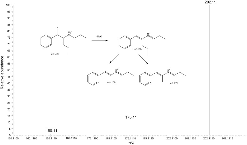 Product ion spectrum of α-propylaminopentiophenone obtained from the powder sample found at the scene together with the proposed fragmentation pattern
