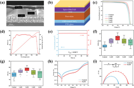 a) The cross‐section SEM image of the fabricated PSCs. b) The structure schematic image of a typical PSC device. (The device structure: FTO/PAPT‐modified SnO2/perovskite/OAI/Spiro‐OMeTAD/Au). c) J–V curves of the champion PSCs based on the different amounts of periodic acid treatments. d) EQE spectra for the PSCs based on the PAPT‐modified SnO2 film. e) Steady‐state photocurrent measurement of the champion PSC based on the PAPT‐modified SnO2 film. The applied bias voltage was 0.949 V, which was the voltage at the maximum power point. f) PCE and g) FF statistic distributions of the PSCs with different amounts of periodic acid treatments. h) Dark I–V curves of the PSCs based on the pristine SnO2 and PAPT‐modified SnO2 films. i) Nyquist plots of the PSCs based on the pristine SnO2 and PAPT‐modified SnO2 films, which was measured at a bias potential of 1.0 V in the frequency range of 1 MHz to 0.1 Hz in the dark.